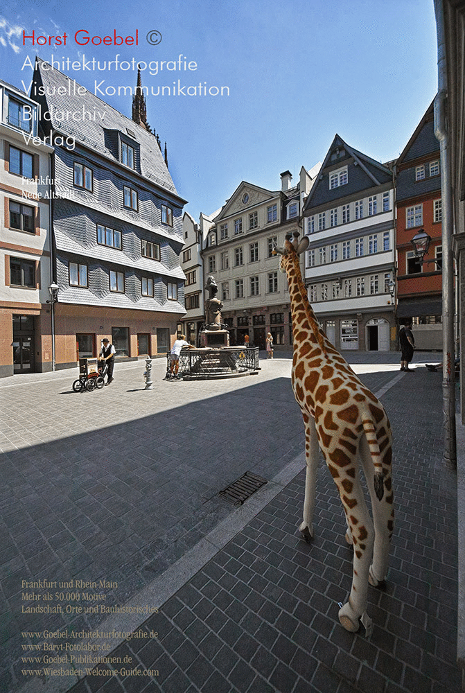 Frankfurt  Neue Altstadt  41 Horst Goebel1