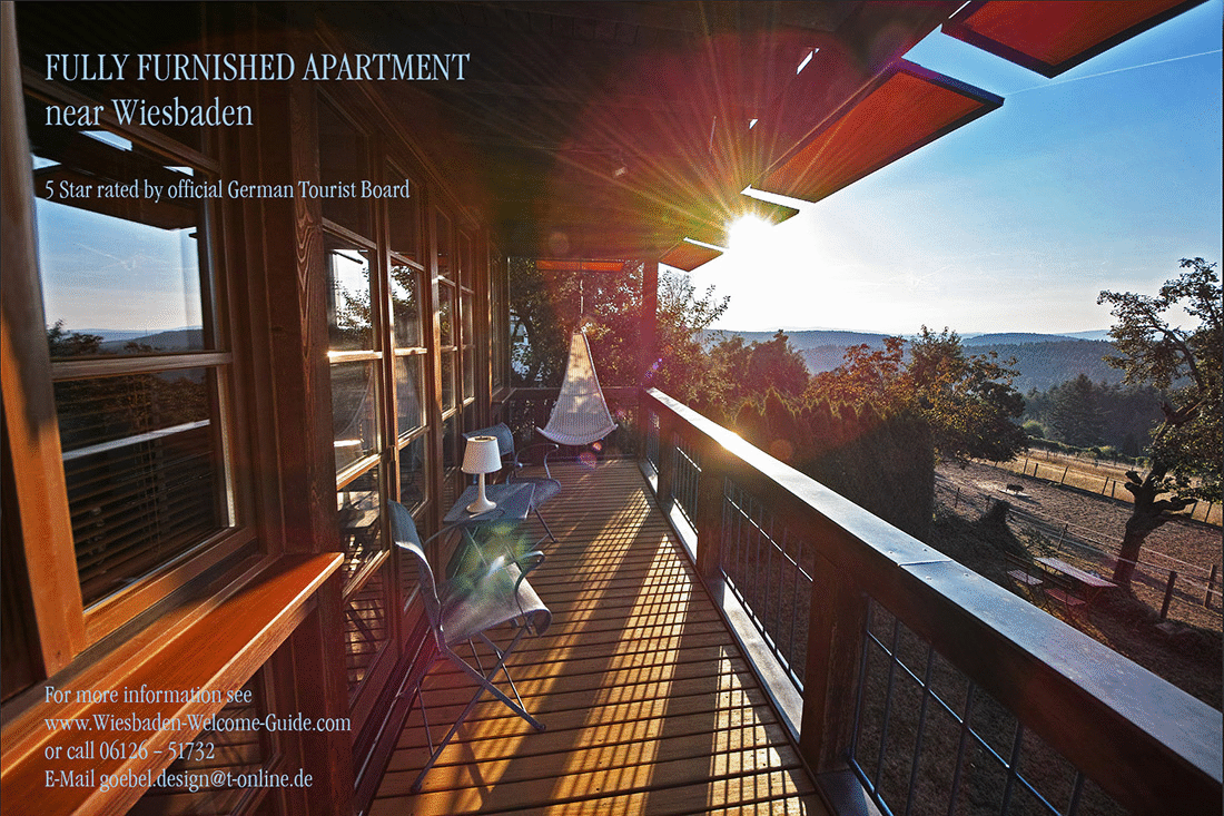 Furnished Apartment Wiesbaden  Goebel 4