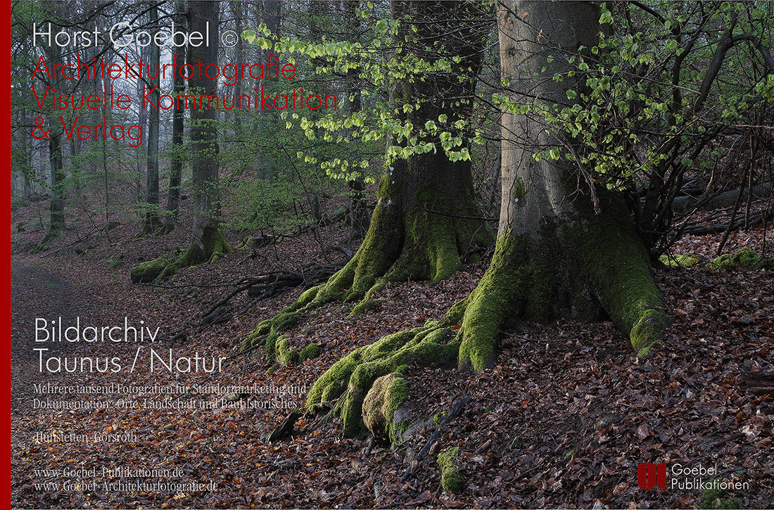 GOEBEL-BILDARCHIV-WALD-55