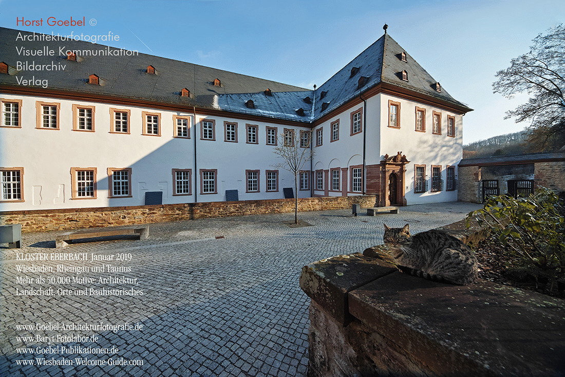 Kloster Eberbach 19-3 Klosterkatze  Horst Goebel1