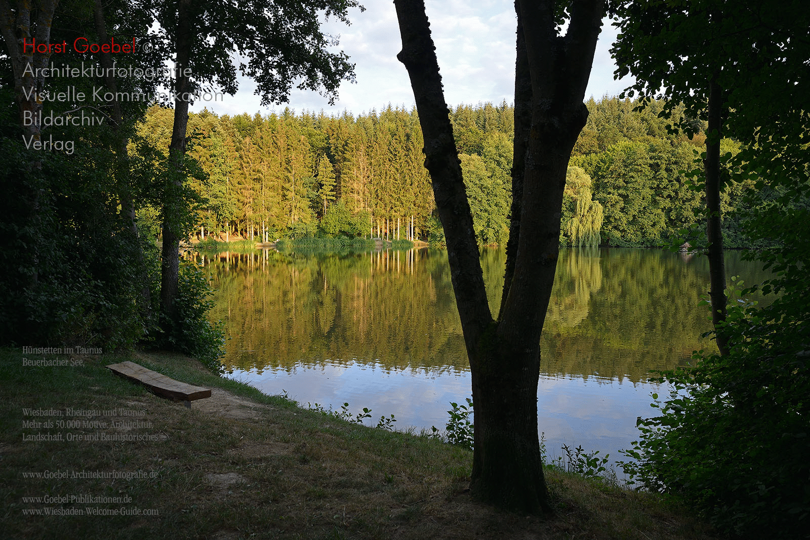 Wald Bechtheim 8 Goebel 